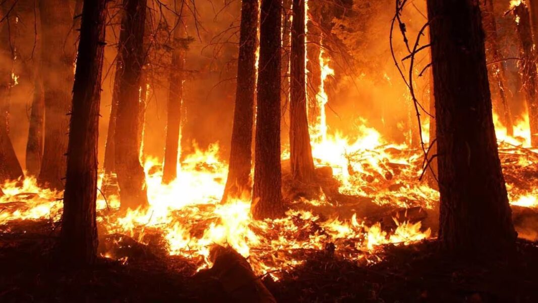 Increased wildfire activity may be a feature of past periods of abrupt climate change