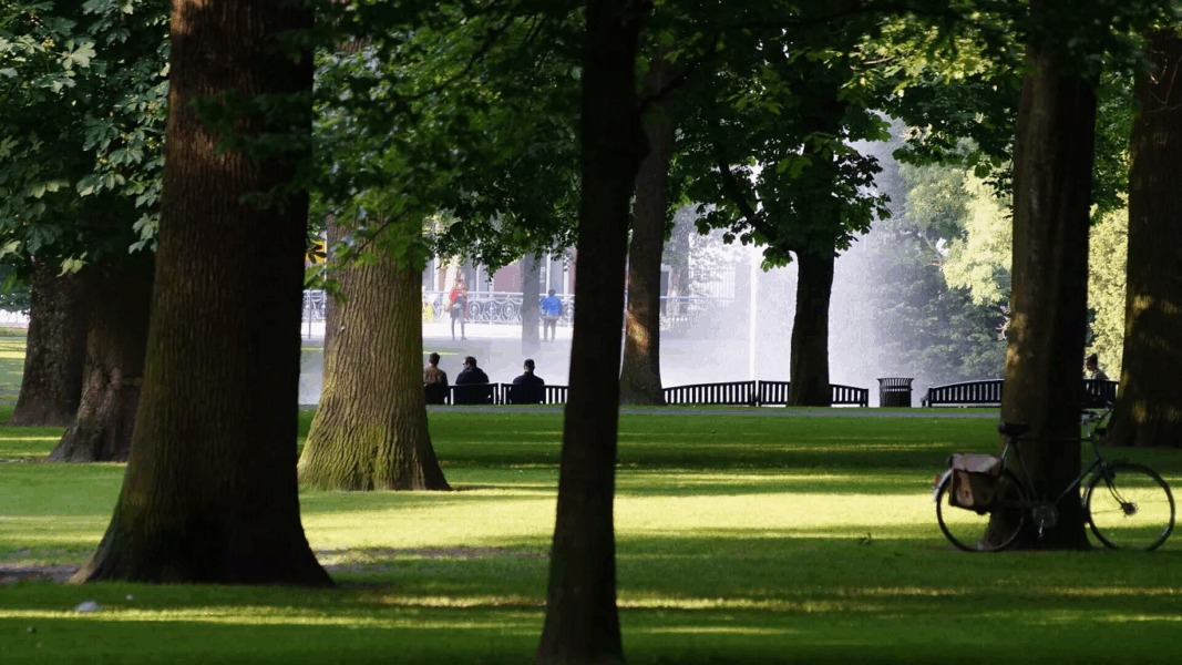 Urban wilding and climate resilience: How Breda became the EU’s first National Park City