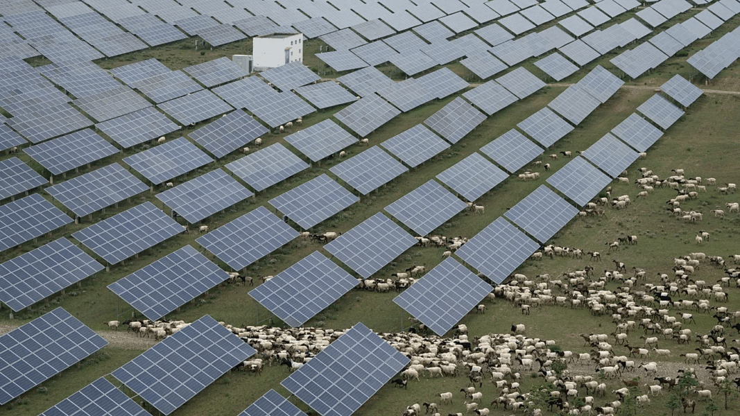 China races to build the world’s largest solar farm to meet emissions targets