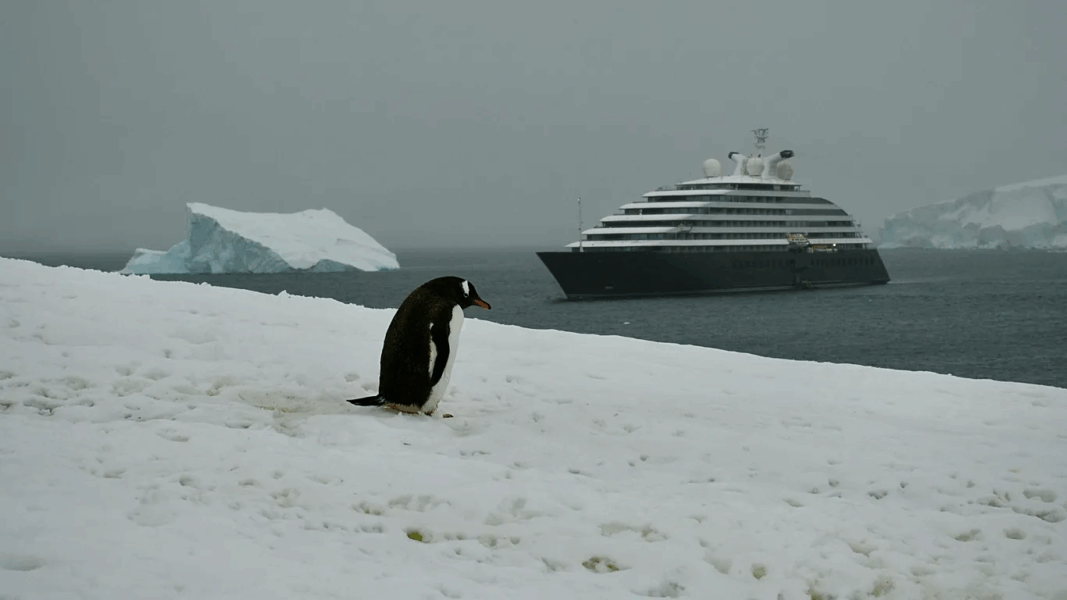 Rising visitor numbers are leaving a harmful human footprint on Antarctica’s ecosystems