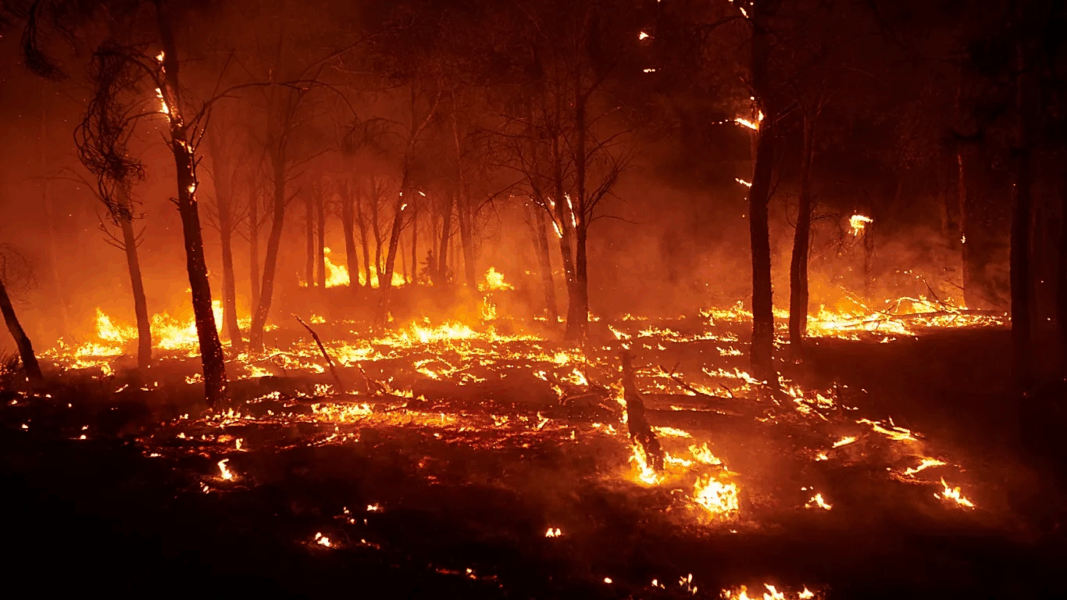 Nearly half of the world’s most destructive wildfires have occurred in the last decade, study warns