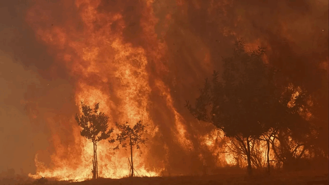 Fire-breathing clouds: How intense wildfires can create their own deadly weather systems