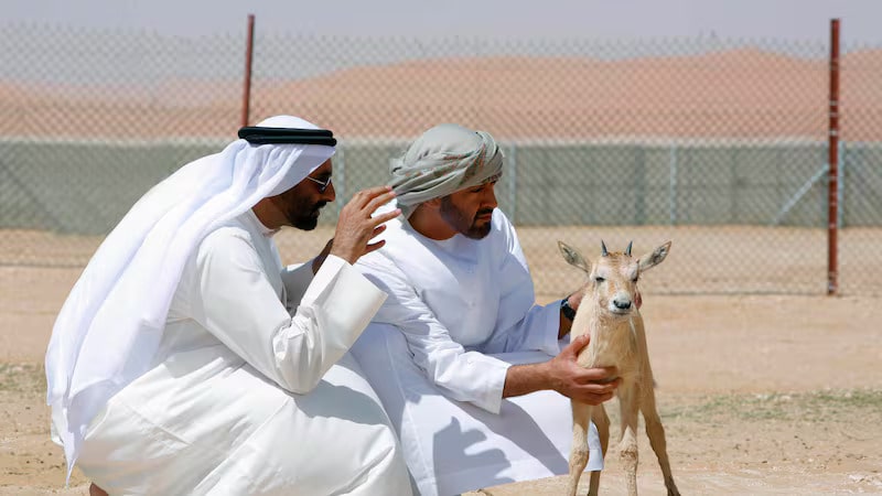 Abu Dhabi to help ‘ignite bold ideas’ for conservation at crucial global talks