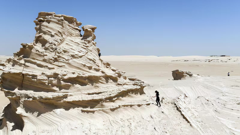 President Sheikh Mohamed directs expansion of protected natural areas in Abu Dhabi