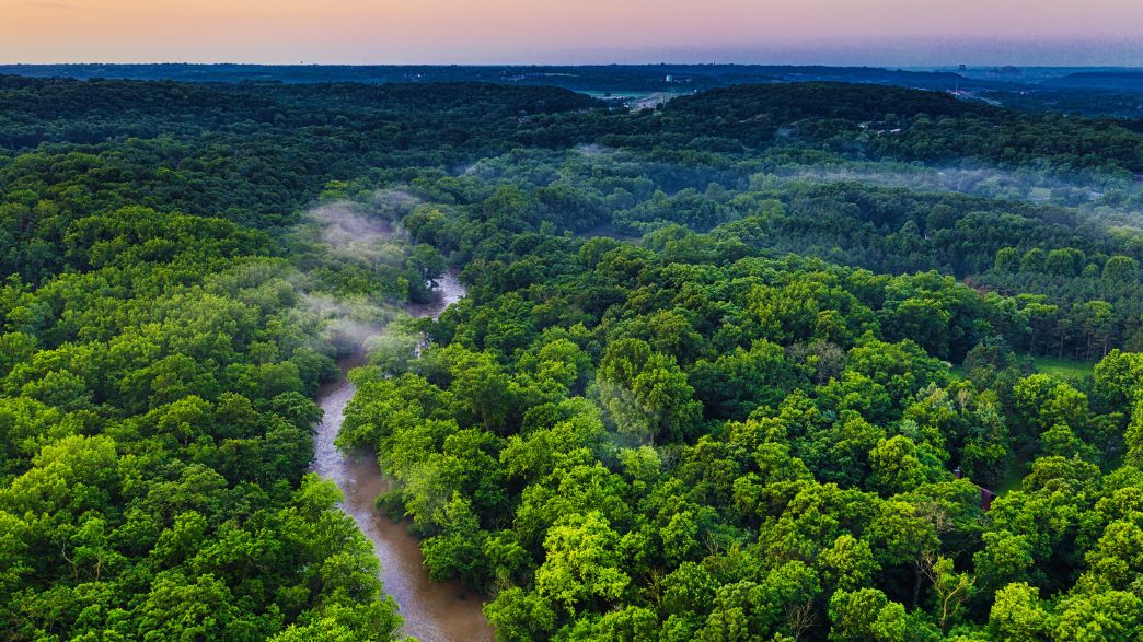 One month to COP30: Brazilian minister seeks EU support for new forest protection fund