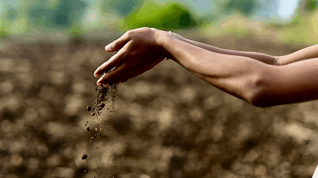 The secret to tackling the climate crisis could be right under our feet. Here’s why