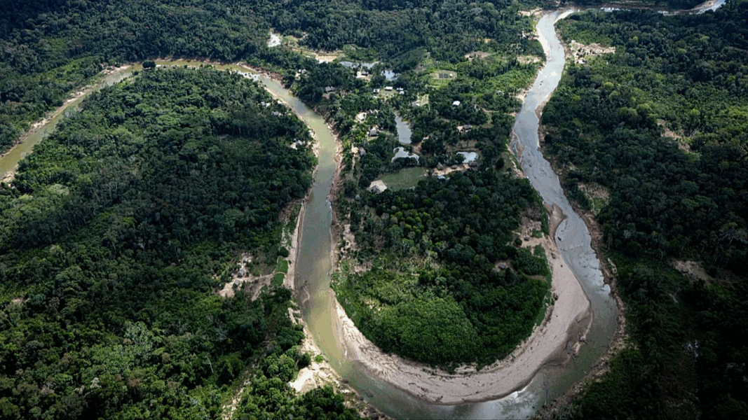 COP30: Could Brazil’s ambitious new ‘Tropical Forests Forever’ fund help curb deforestation?