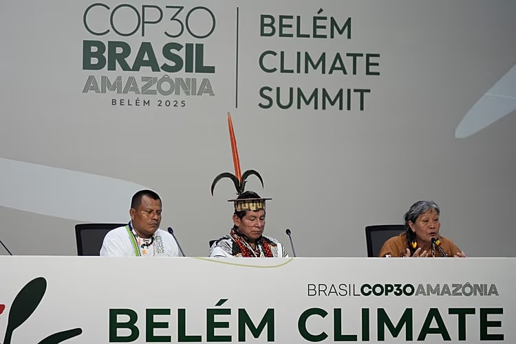COP30: Brazil promotes largest Indigenous participation in history of the conference