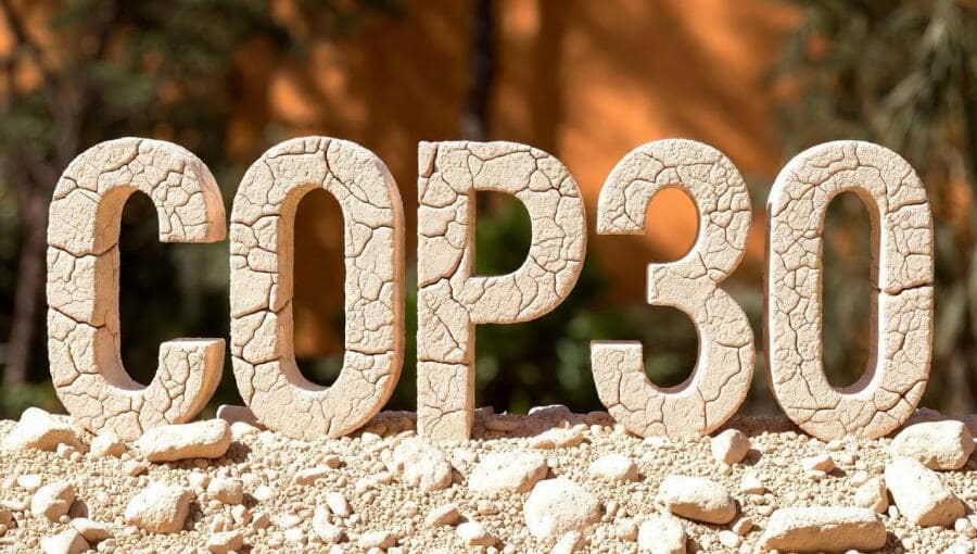 From deforestation to fossil fuels: What did countries actually agree on at COP30?