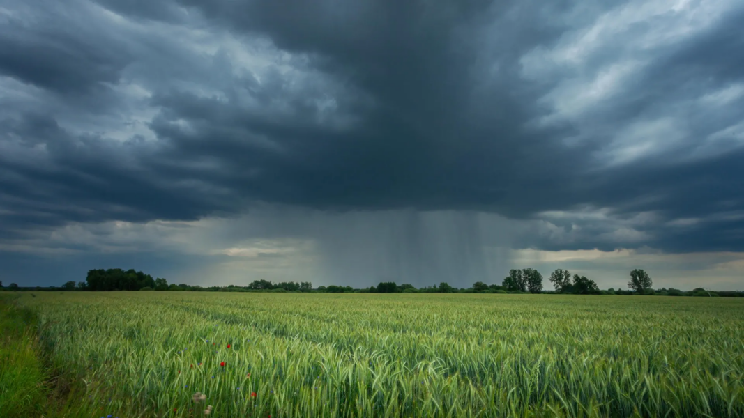 Scientists find hidden rainfall pattern that could reshape farming