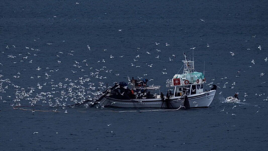 As Greece battles illegal fishing, new digital platform aims to step up protection of marine life