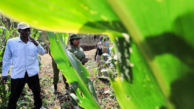 How AI can help head off Africa’s impending food crisis as population surges