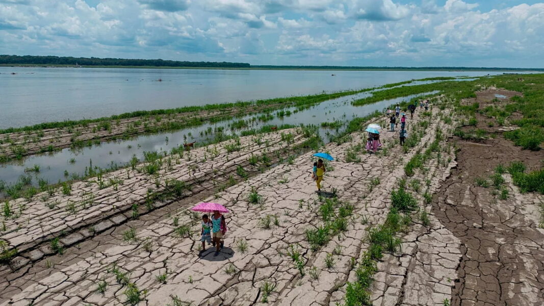 El Niño: Almost everywhere will face above average summer temperatures, WMO warns