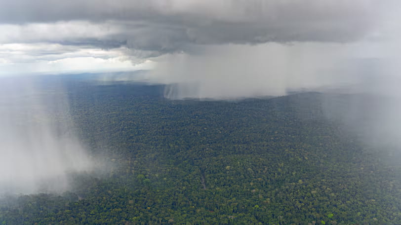 Rainfall loss from deforestation could cost trillions in GDP