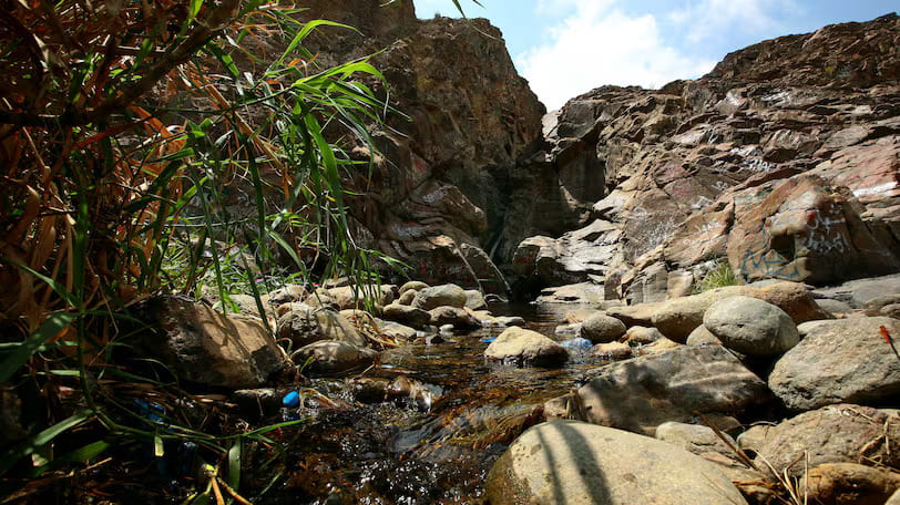 UAE’s Wadi Wurayah National Park awaits Unesco World Heritage verdict