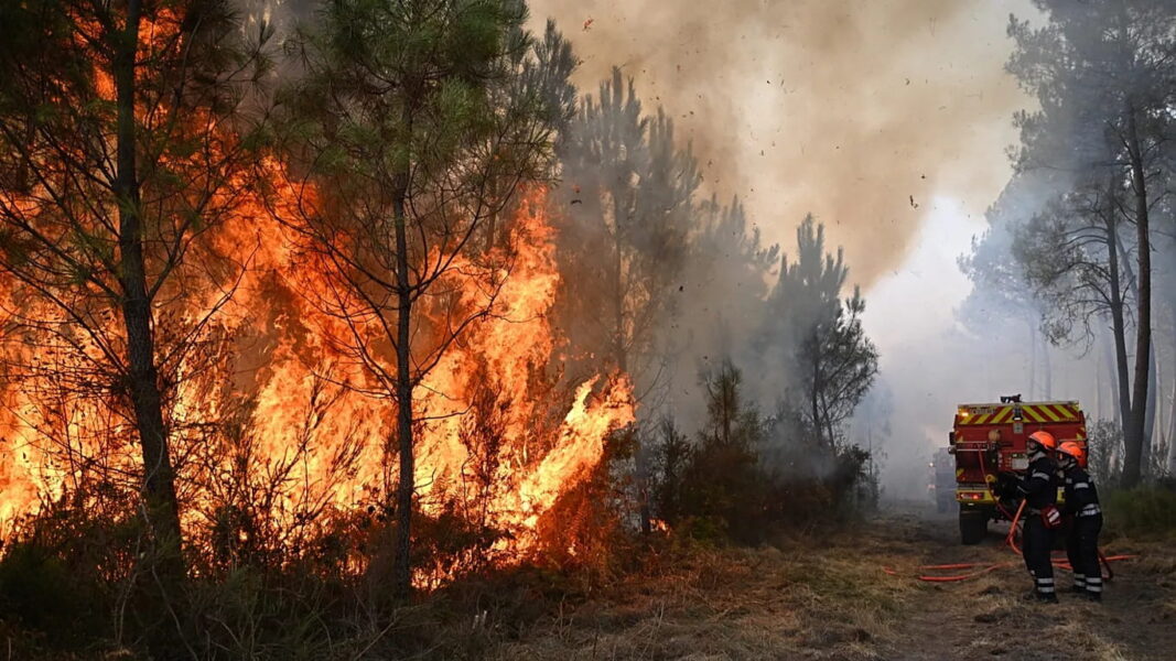 Southern Europe is dealing with fewer blazes but ‘greater’ wildfire risk. Is there a solution?