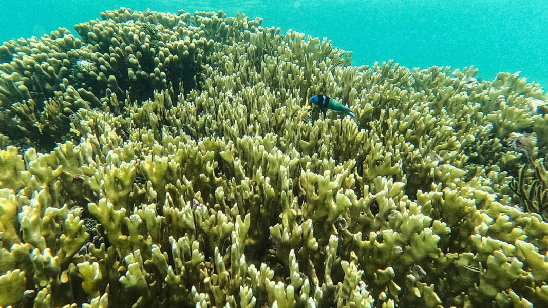 Is global warming supercharging El Niños? New study may reveal the answer