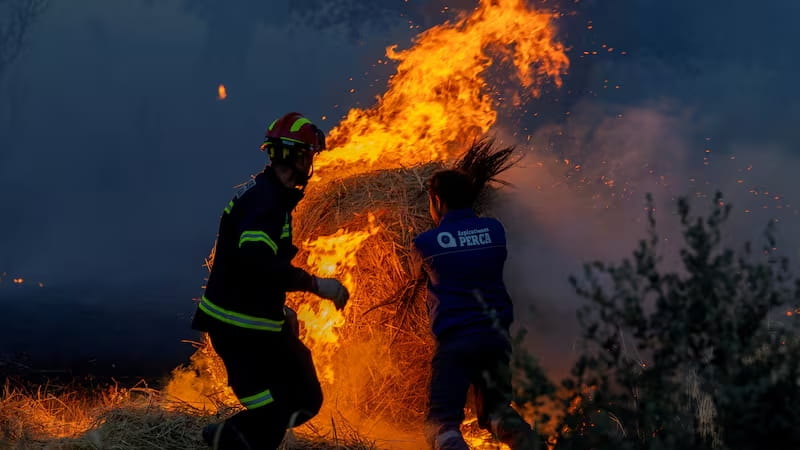 Europe’s wildfires ‘up to 20 times more likely due to climate change’
