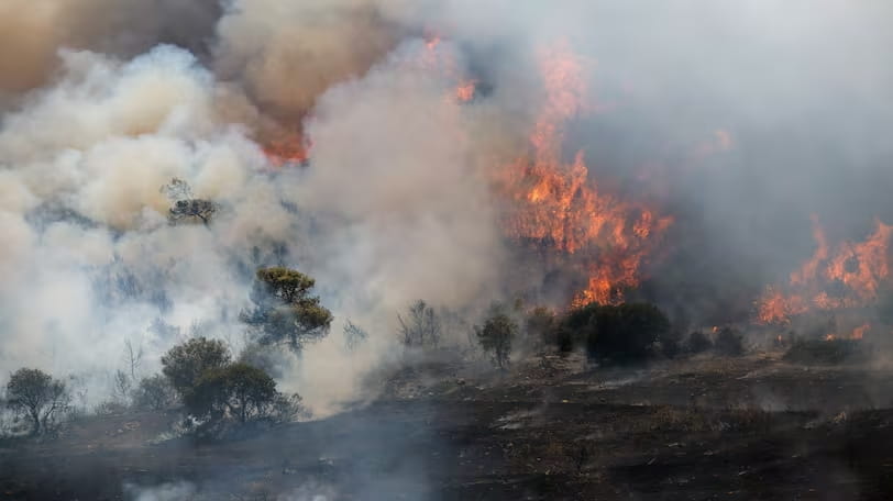 Area in Europe affected by wildfires could triple due to climate change
