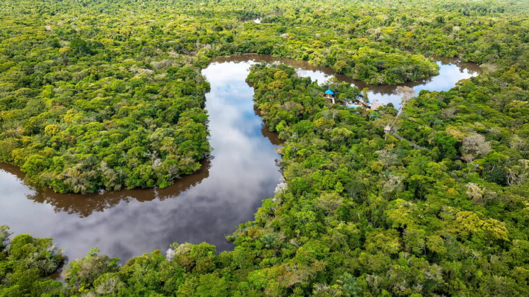 Amazon study reveals the best strategies for protecting biodiversity and carbon
